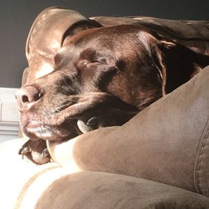 Meet your Posher, Heather